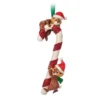 Chip 'n Dale Sketchbook Ornament -Disney 465062944455